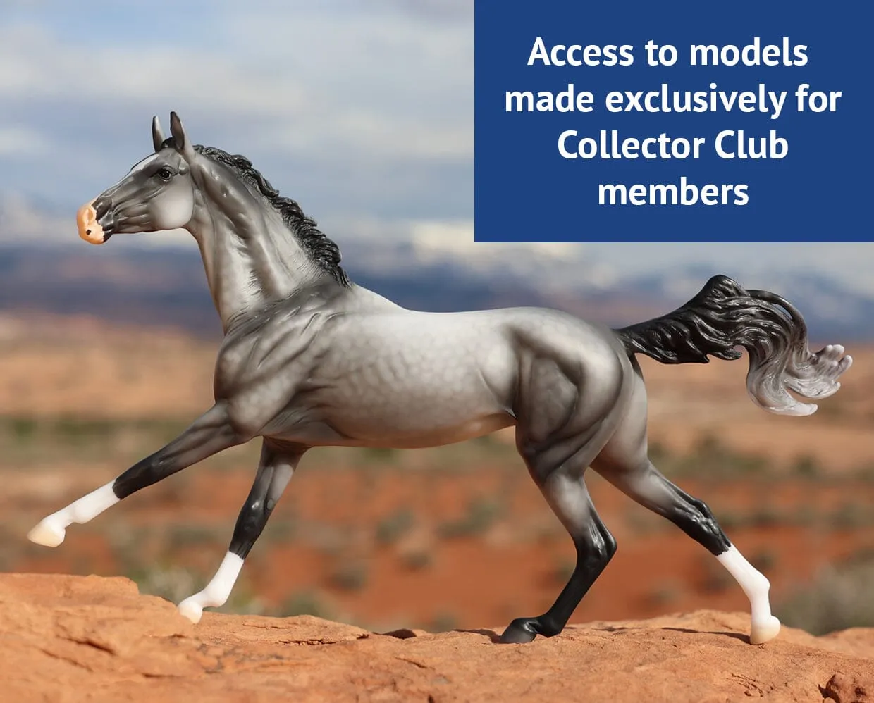 2025 Collector Club Membership